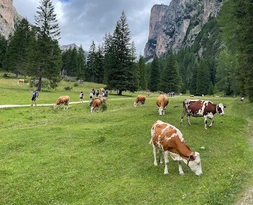 Vallunga Langental Selva valle glaciale verde escursione facile in famiglia